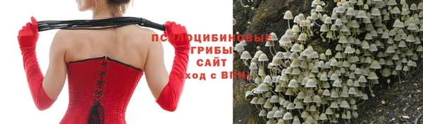 прущая мука Коряжма
