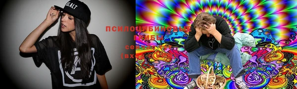 гидра Краснослободск