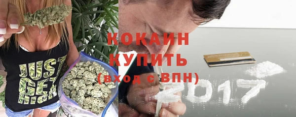 Альфа ПВП Остров