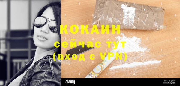 не бодяженный Осташков