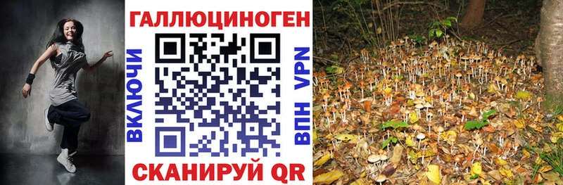 Псилоцибиновые грибы ЛСД  Кораблино 