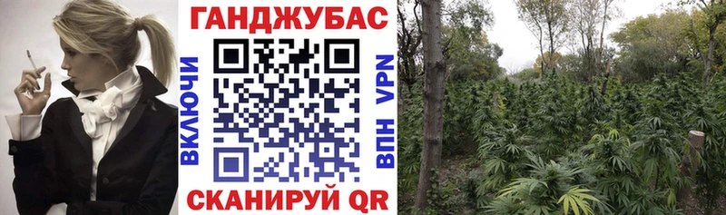 Шишки марихуана планчик  Кораблино 